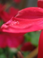 /album/fotogallerij/a2012-07-29-14-43-26-0011-jpg/